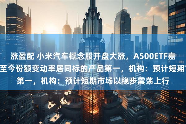 涨盈配 小米汽车概念股开盘大涨，A500ETF嘉实（159351）年初至今份额变动率居同标的产品第一，机构：预计短期市场以稳步震荡上行