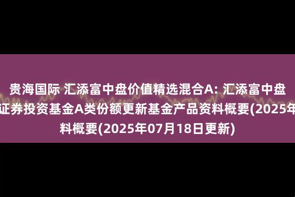 贵海国际 汇添富中盘价值精选混合A: 汇添富中盘价值精选混合型证券投资基金A类份额更新基金产品资料概要(2025年07月18日更新)
