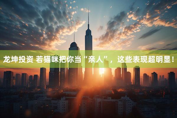 龙坤投资 若猫咪把你当“亲人”，这些表现超明显！