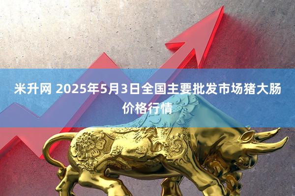 米升网 2025年5月3日全国主要批发市场猪大肠价格行情